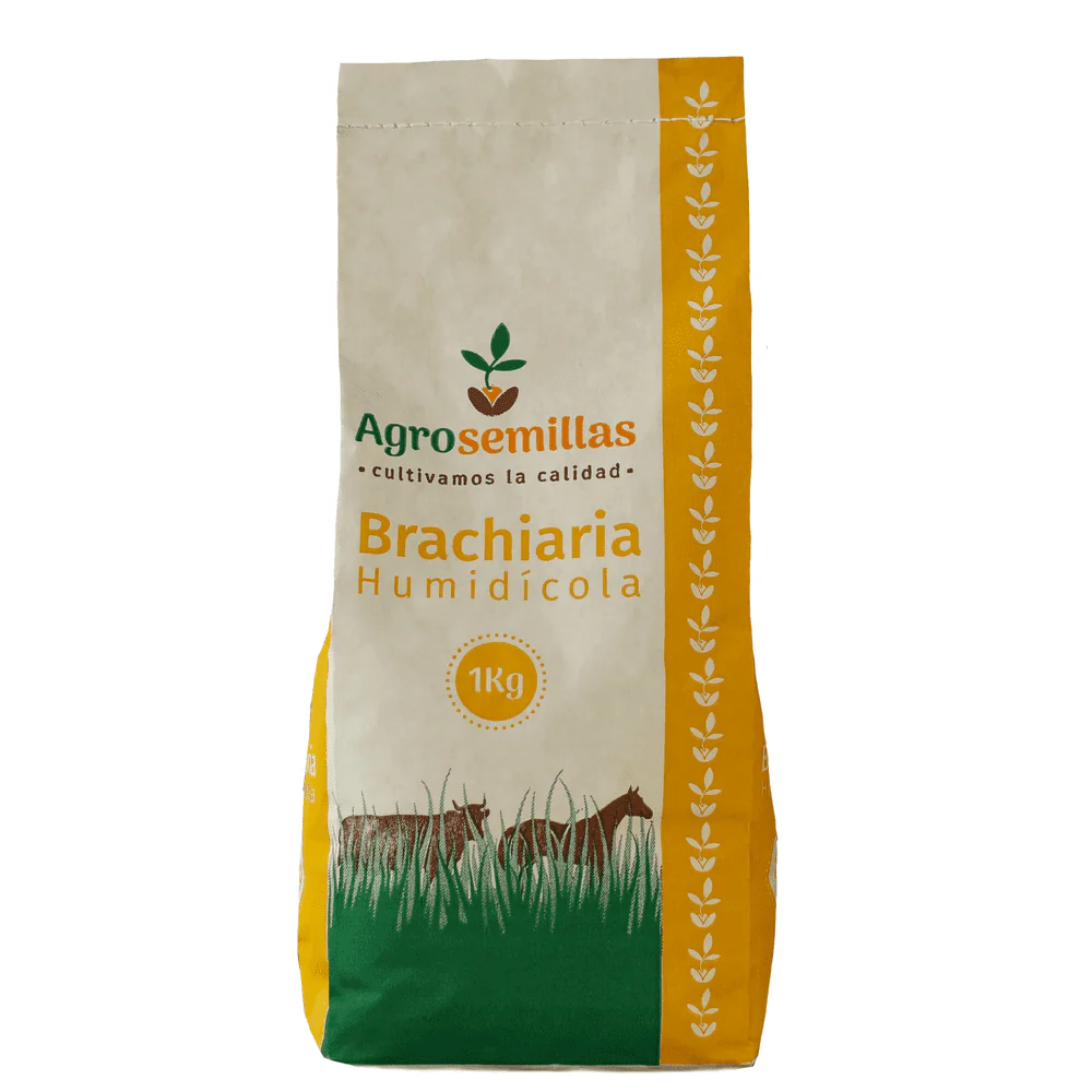 Semillas de Brachiaria