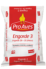 Pro aves engorde3